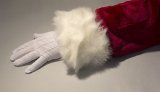 Santa Gloves - Long
